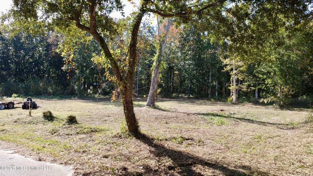 Loraine Street, Ocean Springs, MS 39564