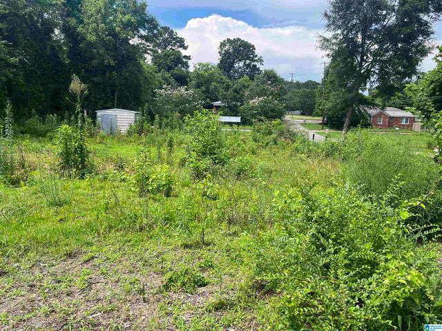 300 E VENTURA DRIVE, Birmingham, AL 35231