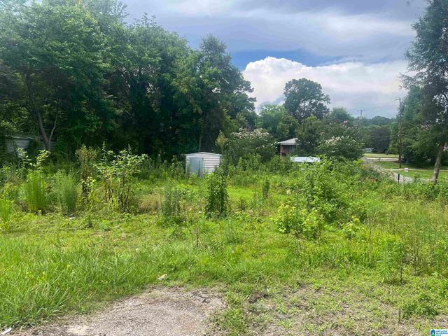300 E VENTURA DRIVE, Birmingham, AL 35231