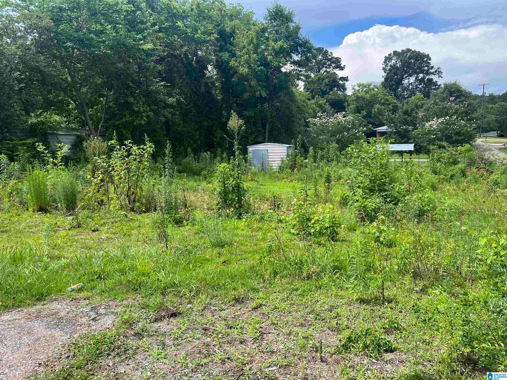 300 E VENTURA DRIVE, Birmingham, AL 35231