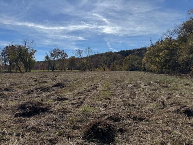 000 Us Highway 160, Walnut Shade, MO 65771