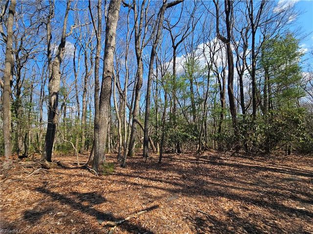 TBD Mt. Retreat Road, Roaring Gap, NC 28668
