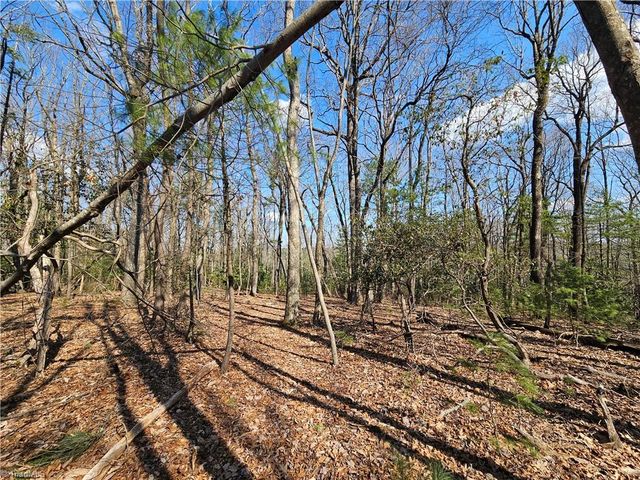 TBD Mt. Retreat Road, Roaring Gap, NC 28668