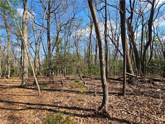 TBD Mt. Retreat Road, Roaring Gap, NC 28668