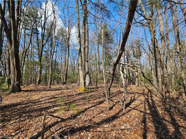 TBD Mt. Retreat Road, Roaring Gap, NC 28668