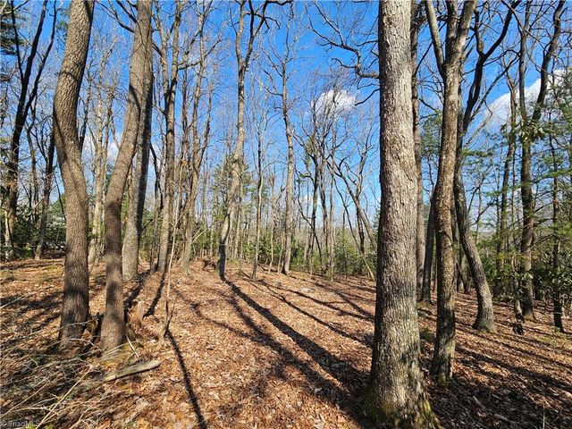 TBD Mt. Retreat Road, Roaring Gap, NC 28668