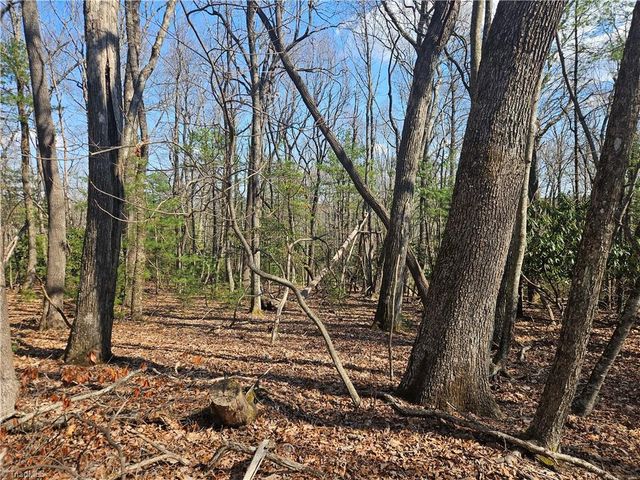 TBD Mt. Retreat Road, Roaring Gap, NC 28668