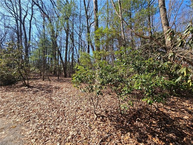 TBD Mt. Retreat Road, Roaring Gap, NC 28668