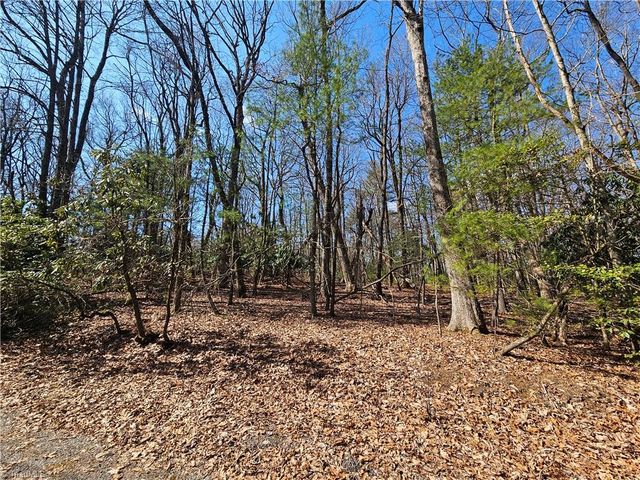 TBD Mt. Retreat Road, Roaring Gap, NC 28668