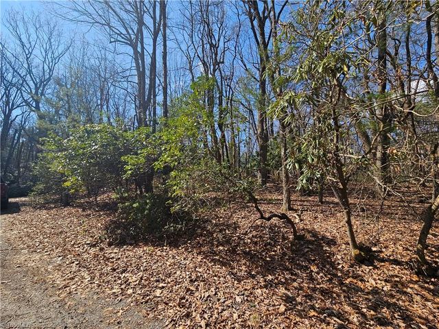 TBD Mt. Retreat Road, Roaring Gap, NC 28668