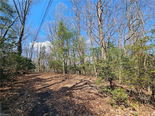 TBD Mt. Retreat Road, Roaring Gap, NC 28668
