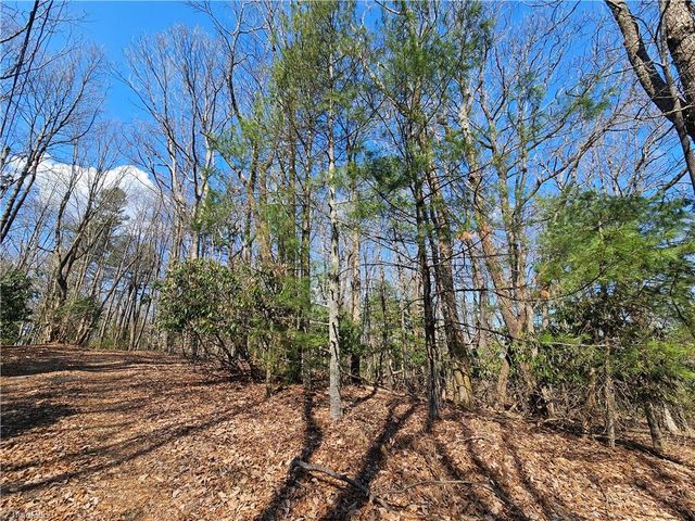 TBD Mt. Retreat Road, Roaring Gap, NC 28668