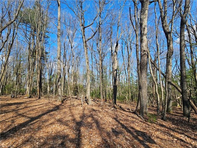 TBD Mt. Retreat Road, Roaring Gap, NC 28668