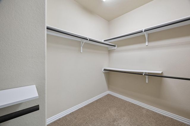 1041 Cedar Forest Drive, Conroe, TX 77384