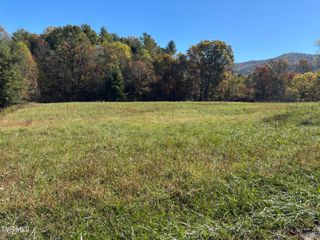 703 Locust Gap Road, Mountain City, TN 37683