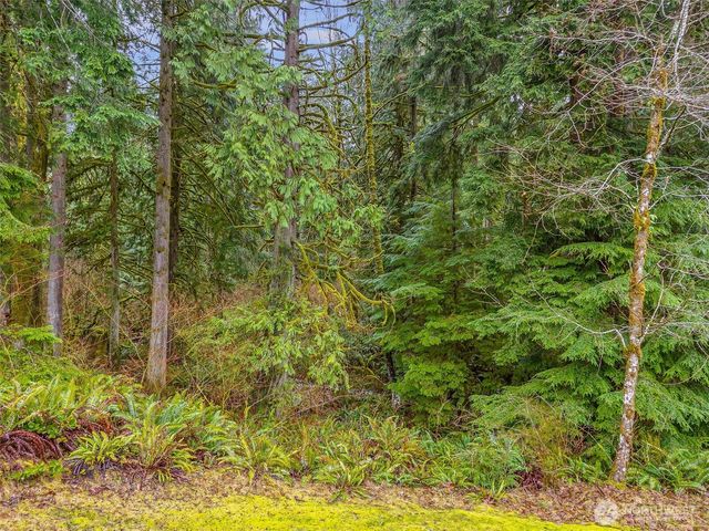 17330 265th Avenue SE, Monroe, WA 98272