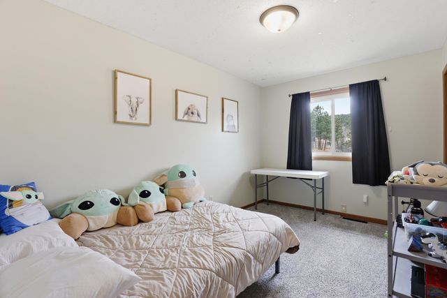 7205 TIMBERLINE RD, Black Hawk, SD 57718