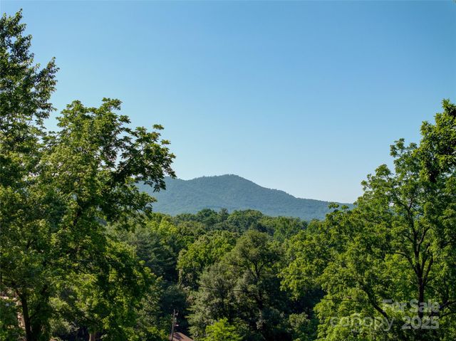 123 Thurland Avenue, Asheville, NC 28803