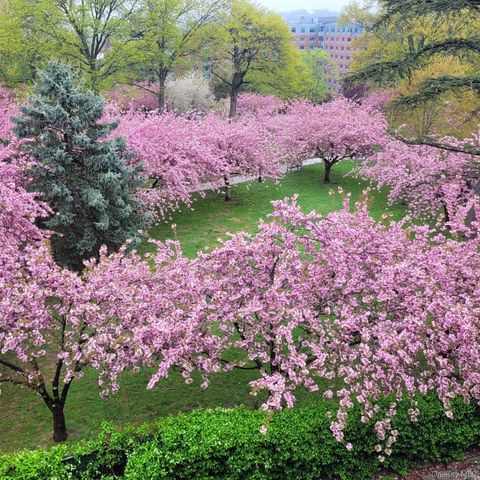 20 N Broadway J245, White Plains, NY 10601