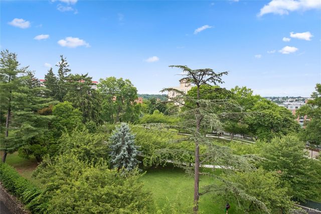 20 N Broadway J245, White Plains, NY 10601