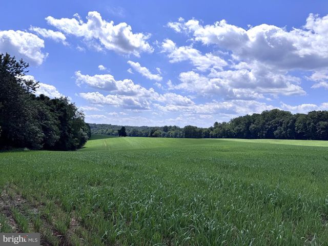 16560 OAK SHADE RD, Rixeyville, VA 22737