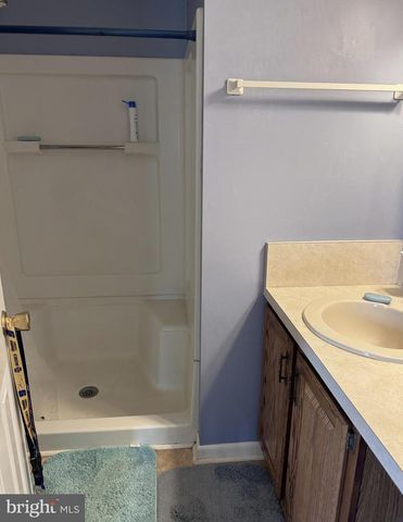 16560 OAK SHADE RD, Rixeyville, VA 22737
