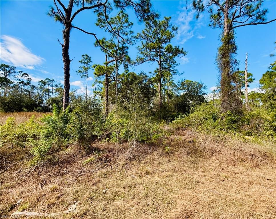 2007 Truman AVE, ALVA, FL 33920 — photo 3