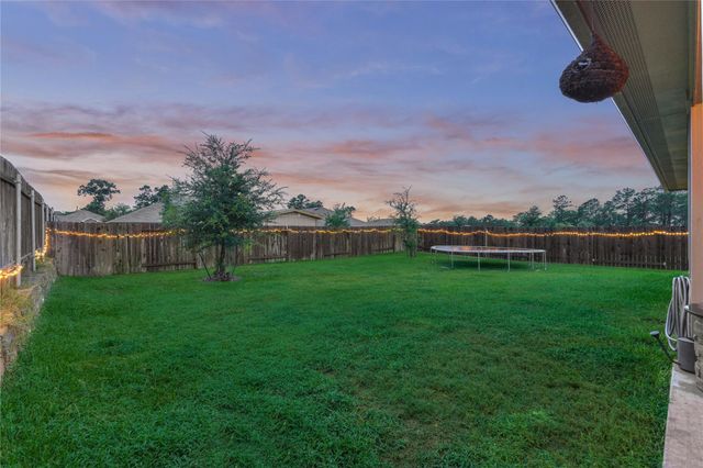 11503 Parrot Fish Court, Conroe, TX 77304