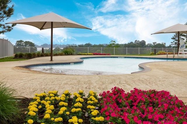 11503 Parrot Fish Court, Conroe, TX 77304