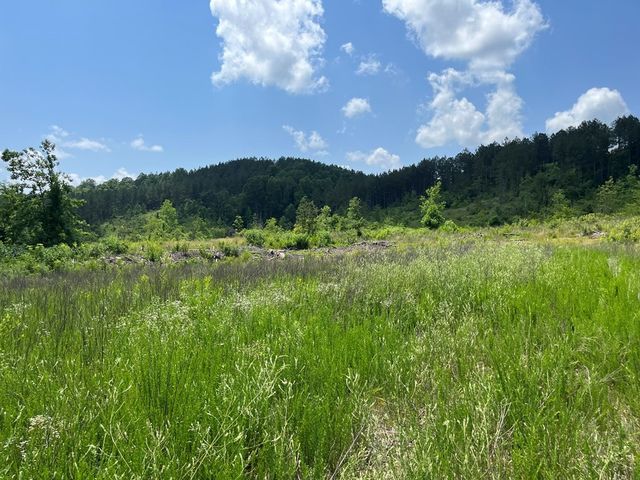 0 County Road 53, Athens, TN 37303