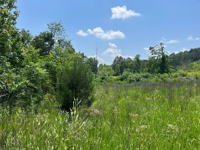 0 County Road 53, Athens, TN 37303