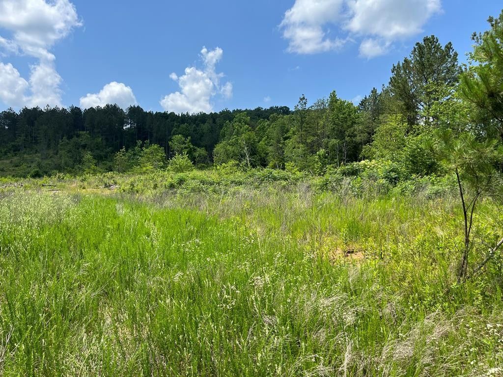 0 County Road 53, Athens, TN 37303
