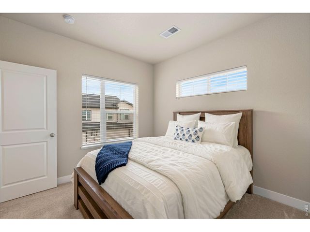 6826 School House Dr 204, Timnath, CO 80547