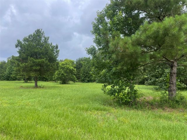 977 Tafelski, New Waverly, TX 77358