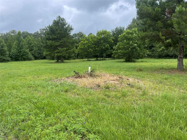 977 Tafelski, New Waverly, TX 77358