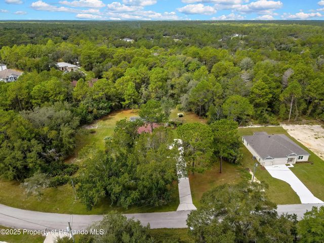 3275 W Daffodil Drive, Beverly Hills, FL 34465