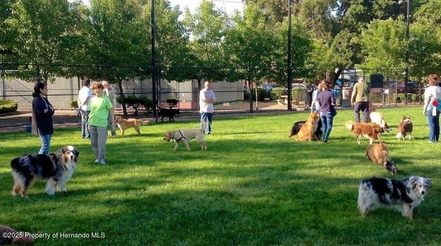 3275 W Daffodil Drive, Beverly Hills, FL 34465