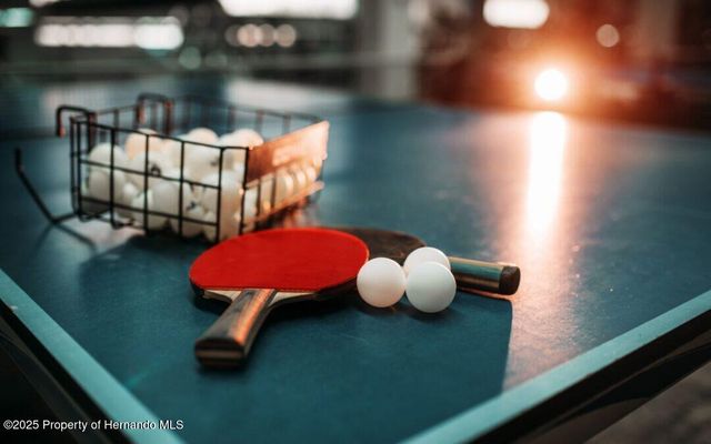 3275 W Daffodil Drive, Beverly Hills, FL 34465