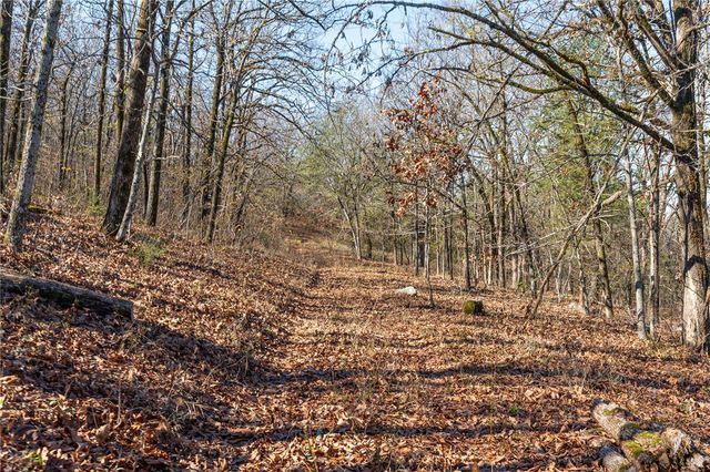 TBD Bear Hollow Road, Fort Smith, AR 72916