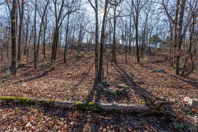 TBD Bear Hollow Road, Fort Smith, AR 72916