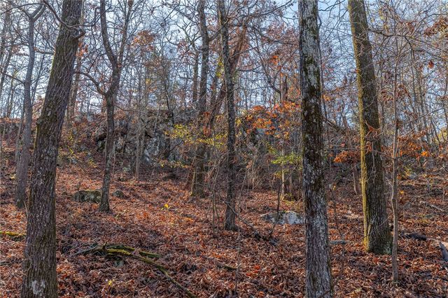 TBD Bear Hollow Road, Fort Smith, AR 72916