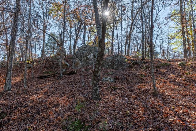 TBD Bear Hollow Road, Fort Smith, AR 72916