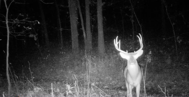 TBD Bear Hollow Road, Fort Smith, AR 72916