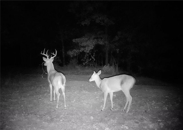 TBD Bear Hollow Road, Fort Smith, AR 72916