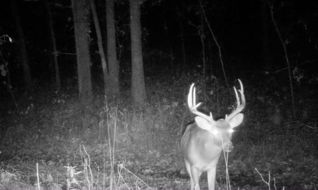 TBD Bear Hollow Road, Fort Smith, AR 72916