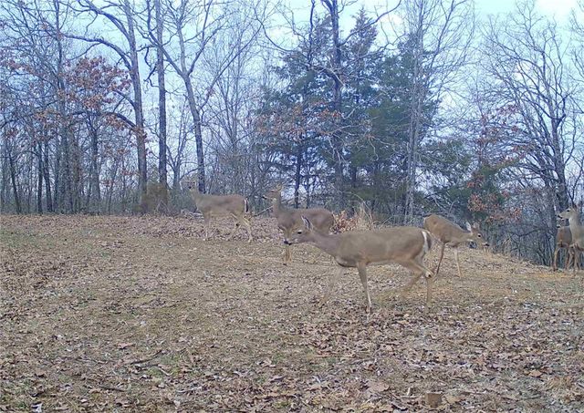 TBD Bear Hollow Road, Fort Smith, AR 72916