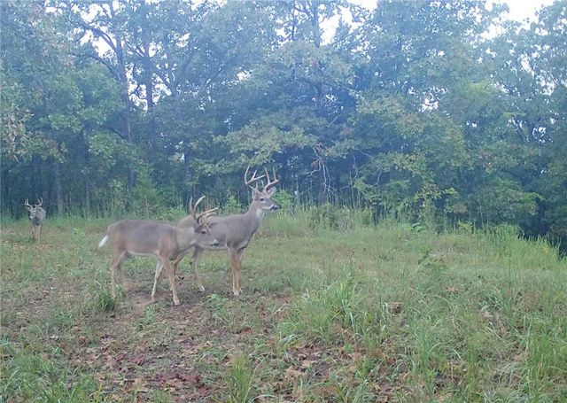 TBD Bear Hollow Road, Fort Smith, AR 72916