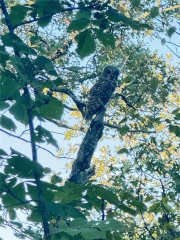 TBD Bear Hollow Road, Fort Smith, AR 72916