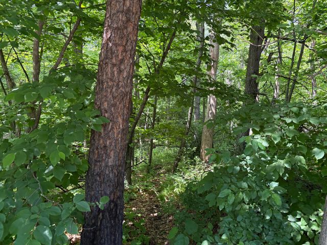 15xxx Riverside Drive, Brainerd, MN 56401