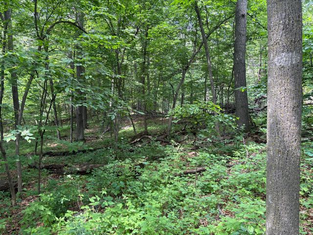 15xxx Riverside Drive, Brainerd, MN 56401